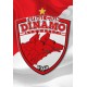 FCDB2 Vafa Dinamo 30x20cm